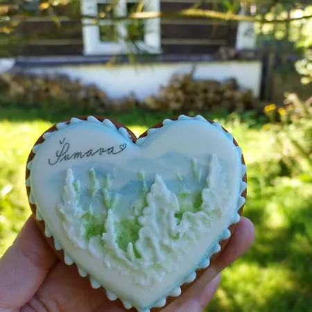 U Sakala דירה זדיקוב