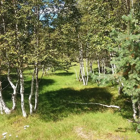 U Sakala Apartment Zdikov