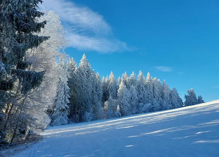 U Sakala Lägenhet *
