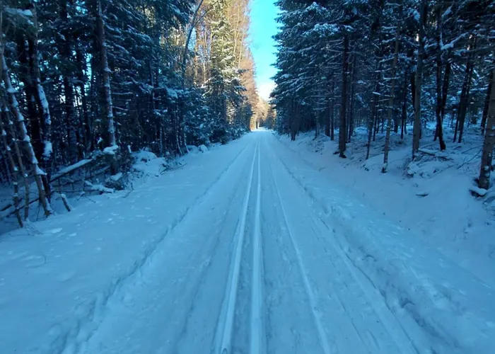 U Sakala Lägenhet Zdíkov